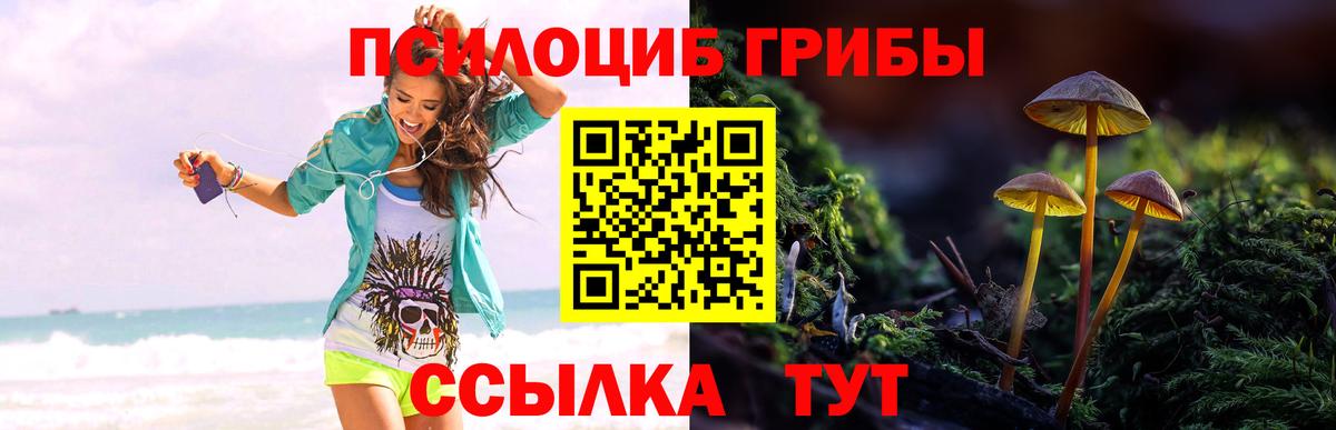 Галлюциногенные грибы GOLDEN TEACHER Надым